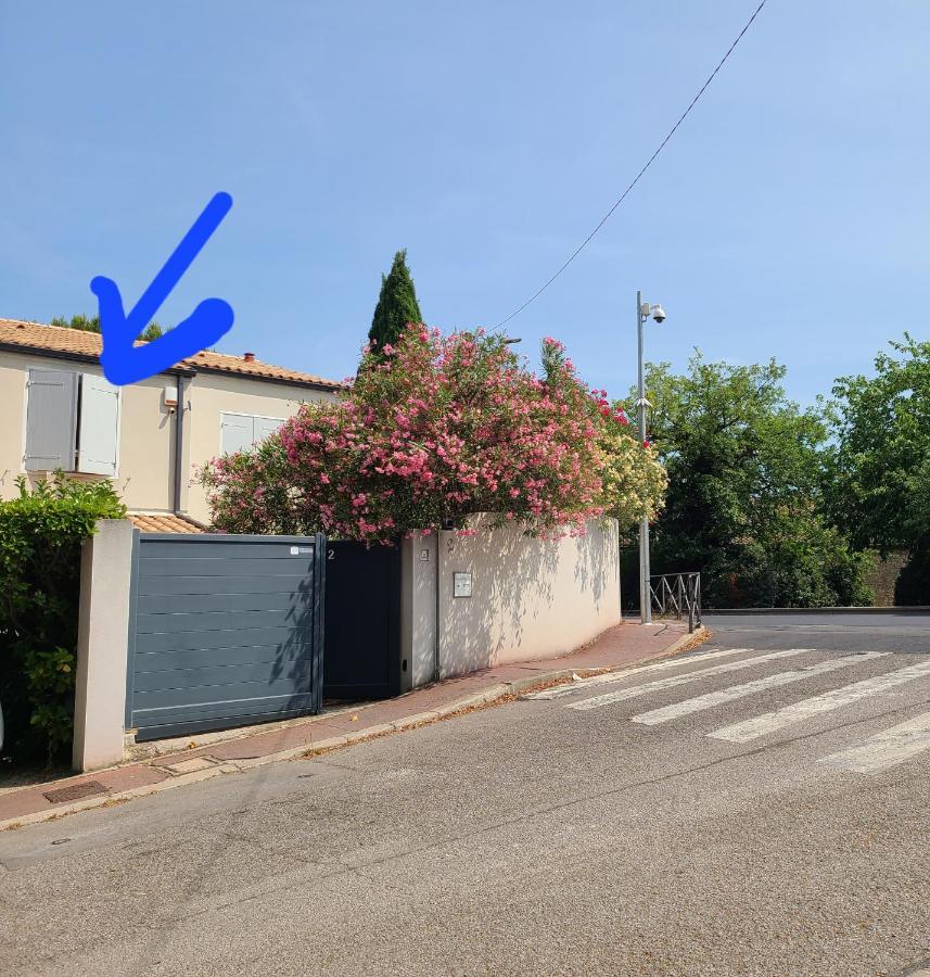 Chez Nous Dans Notre Petit Jardin Apartment Montpellier Bagian luar foto