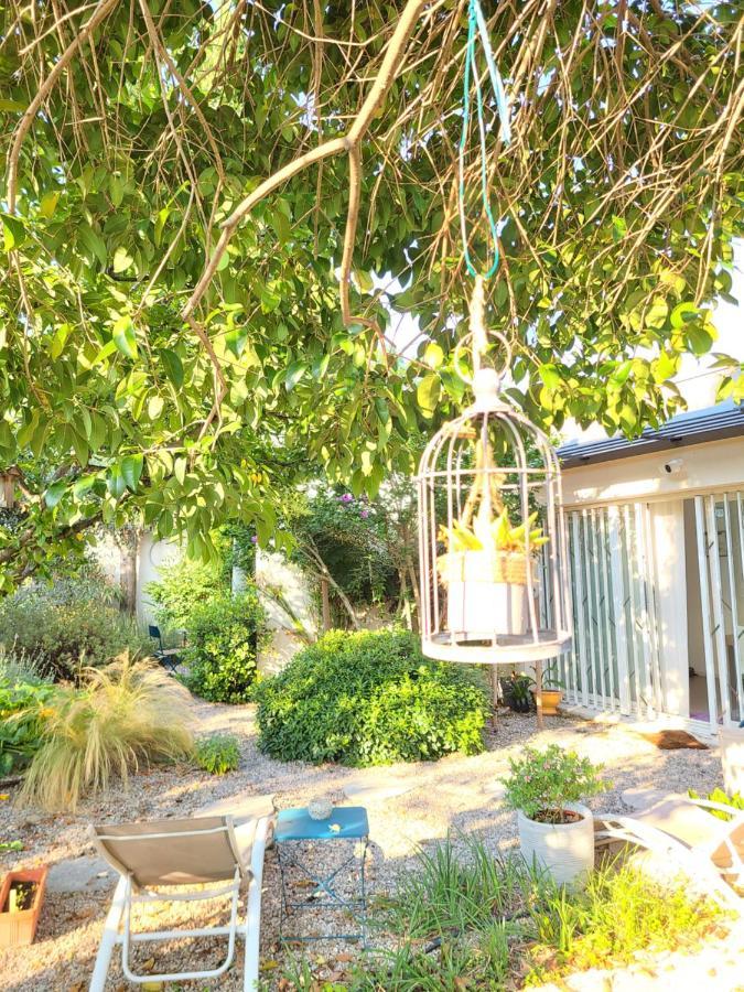 Chez Nous Dans Notre Petit Jardin Apartment Montpellier Bagian luar foto
