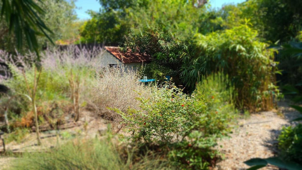 Chez Nous Dans Notre Petit Jardin Apartment Montpellier Bagian luar foto